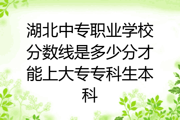湖北中专职业学校分数线是多少分才能上大专专科生本科