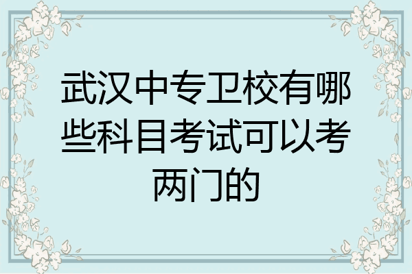 武汉中专卫校有哪些科目考试可以考两门的