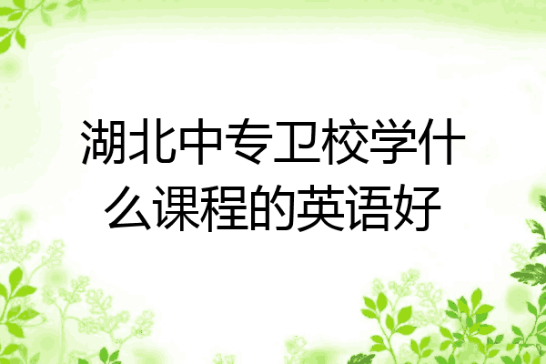 湖北中专卫校学什么课程的英语好