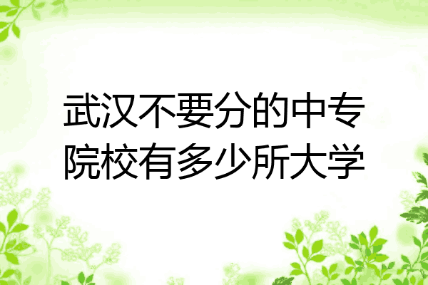武汉不要分的中专院校有多少所大学