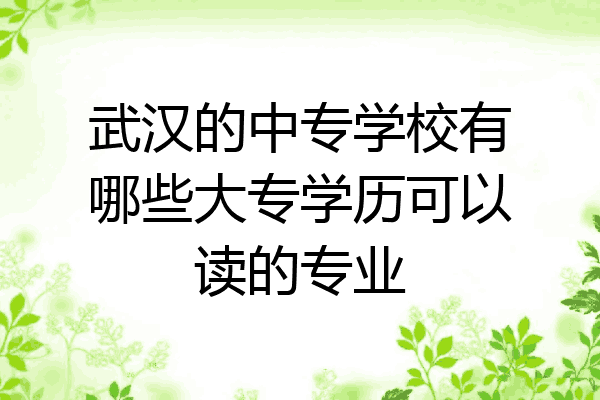 武汉的中专学校有哪些大专学历可以读的专业