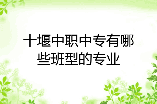 十堰中职中专有哪些班型的专业