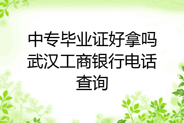 中专毕业证好拿吗武汉工商银行电话查询