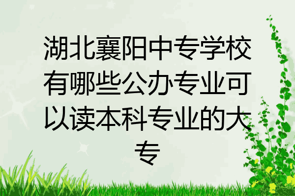 湖北襄阳中专学校有哪些公办专业可以读本科专业的大专
