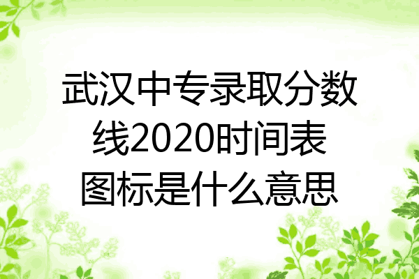 武汉中专录取分数线2020时间表图标是什么意思