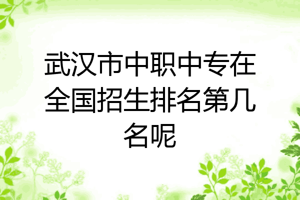 武汉市中职中专在全国招生排名第几名呢