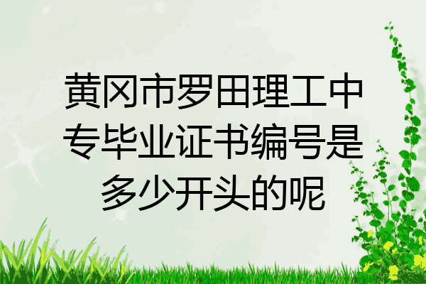 黄冈市罗田理工中专毕业证书编号是多少开头的呢