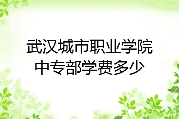 武汉城市职业学院中专部学费多少