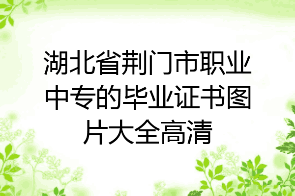 湖北省荆门市职业中专的毕业证书图片大全高清