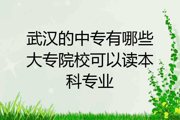 武汉的中专有哪些大专院校可以读本科专业