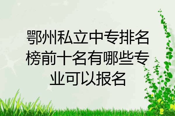 鄂州私立中专排名榜前十名有哪些专业可以报名