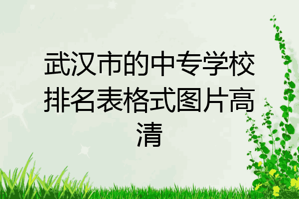武汉市的中专学校排名表格式图片高清