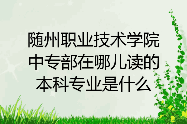 随州职业技术学院中专部在哪儿读的本科专业是什么