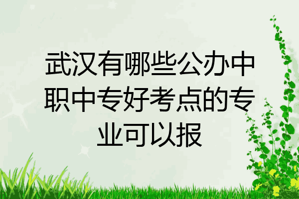 武汉有哪些公办中职中专好考点的专业可以报