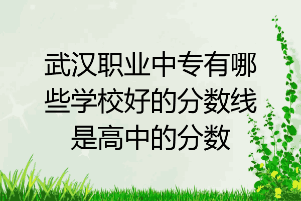 武汉职业中专有哪些学校好的分数线是高中的分数