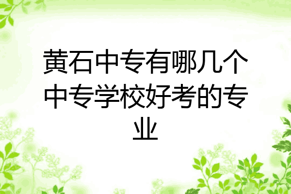 黄石中专有哪几个中专学校好考的专业
