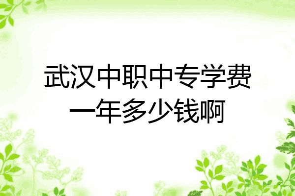 武汉中职中专学费一年多少钱啊