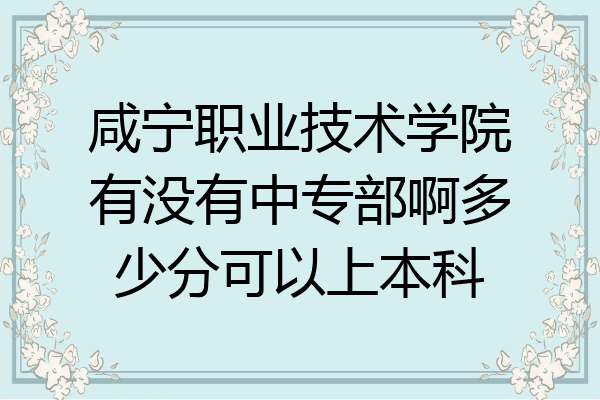 咸宁职业技术学院有没有中专部啊多少分可以上本科