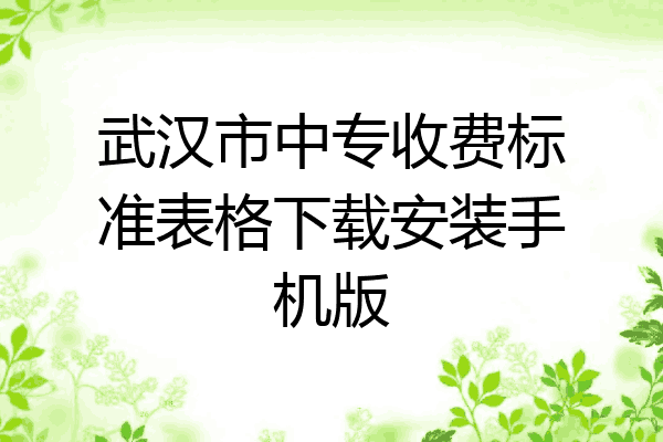 武汉市中专收费标准表格下载安装手机版