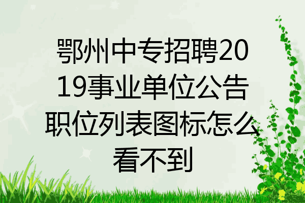 鄂州中专招聘2019事业单位公告职位列表图标怎么看不到
