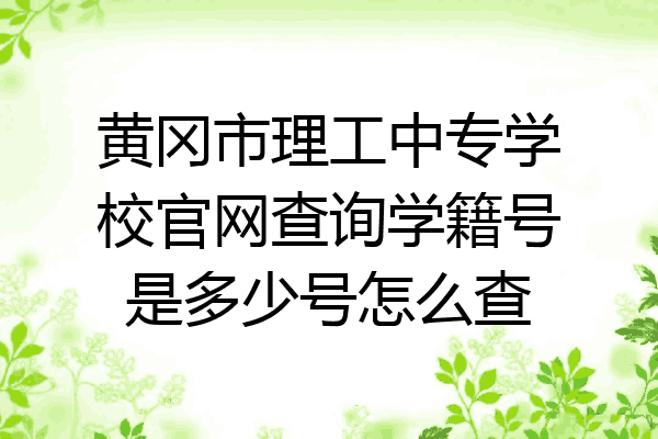 黄冈市理工中专学校官网查询学籍号是多少号怎么查