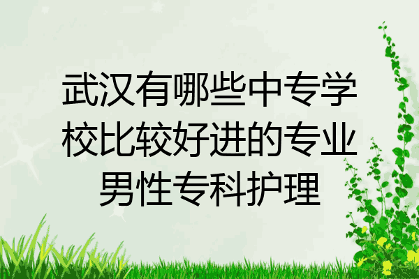 武汉有哪些中专学校比较好进的专业男性专科护理