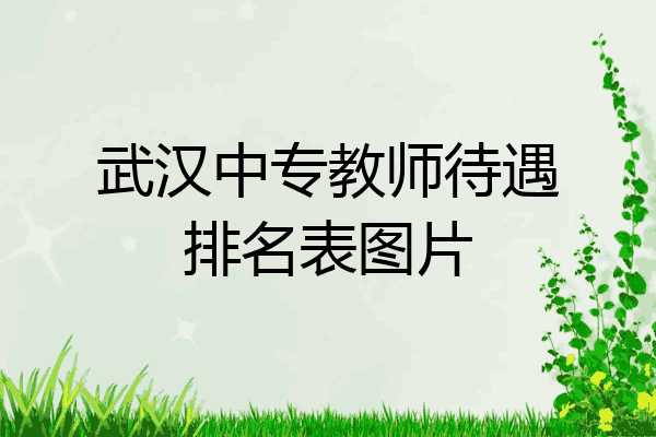 武汉中专教师待遇排名表图片