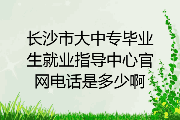 长沙市大中专毕业生就业指导中心官网电话是多少啊
