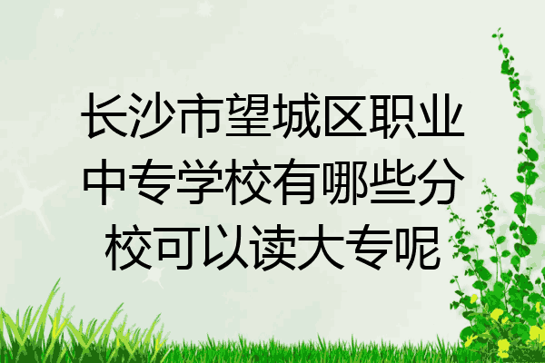 长沙市望城区职业中专学校有哪些分校可以读大专呢