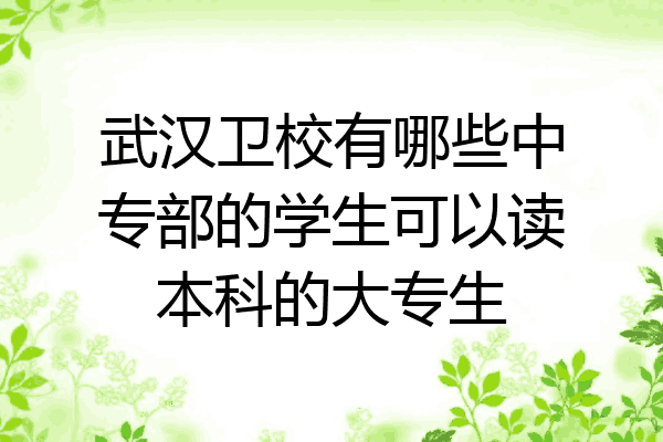 武汉卫校有哪些中专部的学生可以读本科的大专生