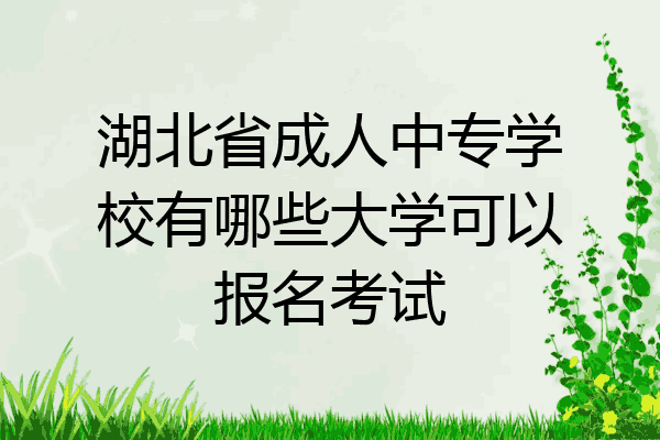 湖北省成人中专学校有哪些大学可以报名考试