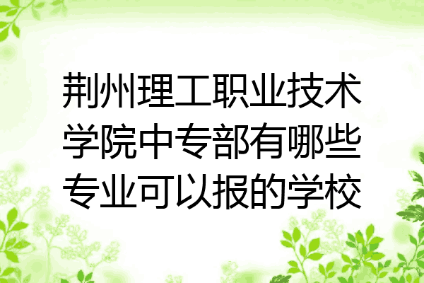 荆州理工职业技术学院中专部有哪些专业可以报的学校
