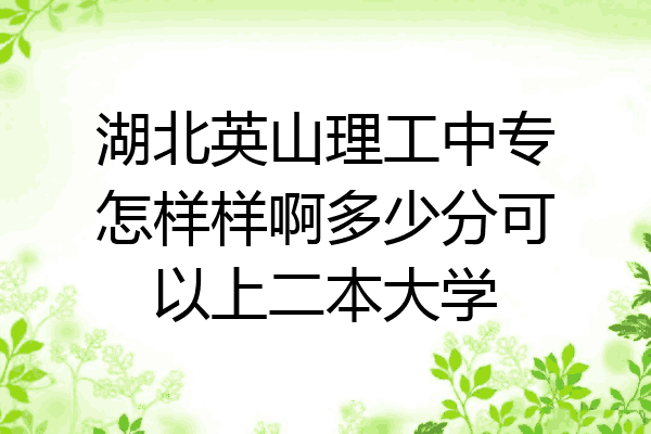 湖北英山理工中专怎样样啊多少分可以上二本大学