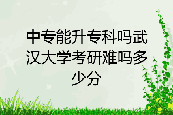中专能升专科吗武汉大学考研难吗多少分