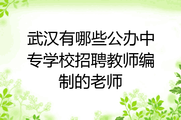 武汉有哪些公办中专学校招聘教师编制的老师