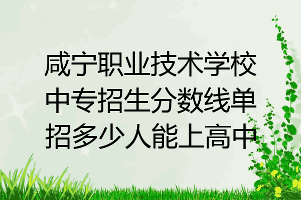 咸宁职业技术学校中专招生分数线单招多少人能上高中