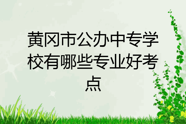 黄冈市公办中专学校有哪些专业好考点