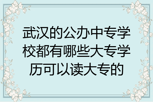 武汉的公办中专学校都有哪些大专学历可以读大专的