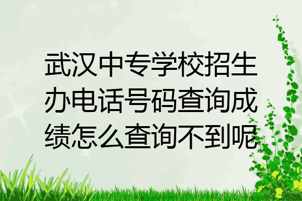 武汉中专学校招生办电话号码查询成绩怎么查询不到呢