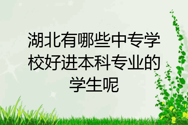 湖北有哪些中专学校好进本科专业的学生呢