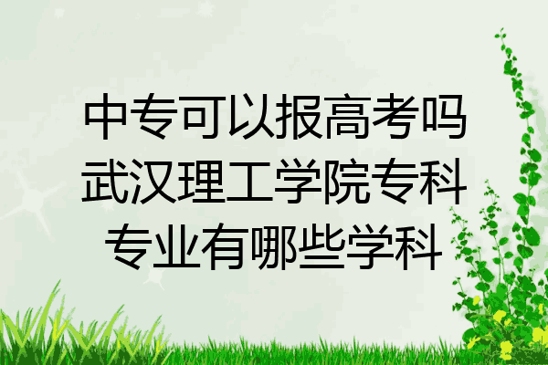 中专可以报高考吗武汉理工学院专科专业有哪些学科