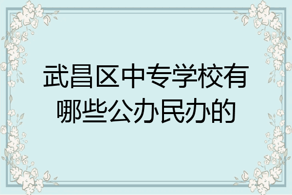 武昌区中专学校有哪些公办民办的