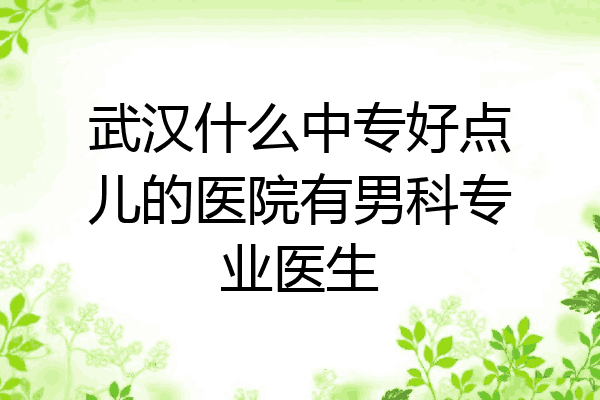 武汉什么中专好点儿的医院有男科专业医生