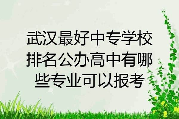 武汉最好中专学校排名公办高中有哪些专业可以报考