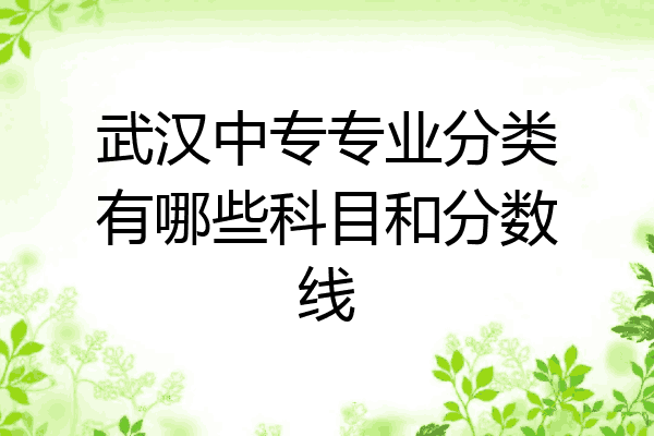 武汉中专专业分类有哪些科目和分数线