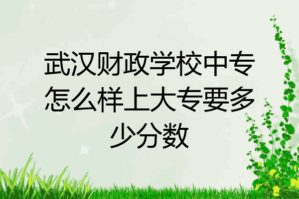 武汉财政学校中专怎么样上大专要多少分数