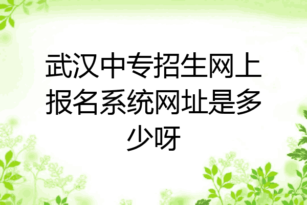 武汉中专招生网上报名系统网址是多少呀