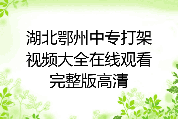 湖北鄂州中专打架视频大全在线观看完整版高清