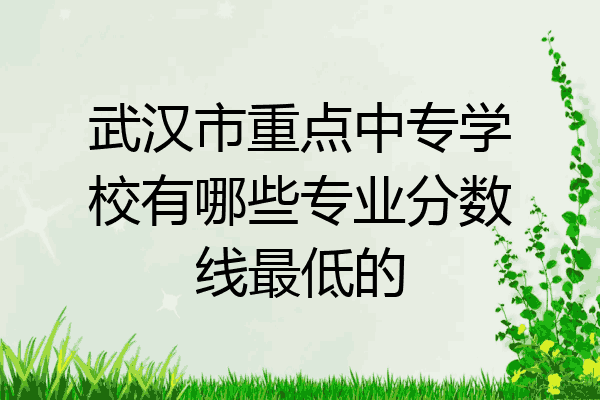 武汉市重点中专学校有哪些专业分数线最低的
