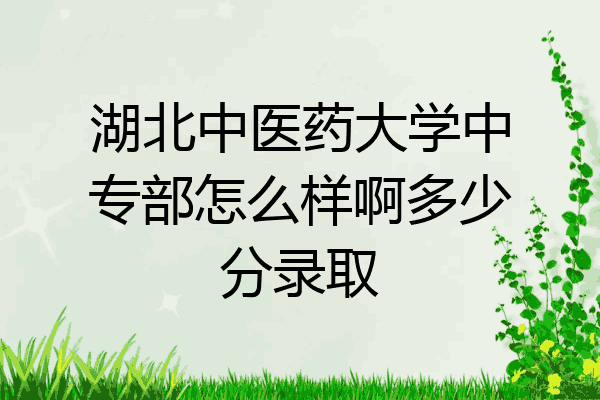 湖北中医药大学中专部怎么样啊多少分录取